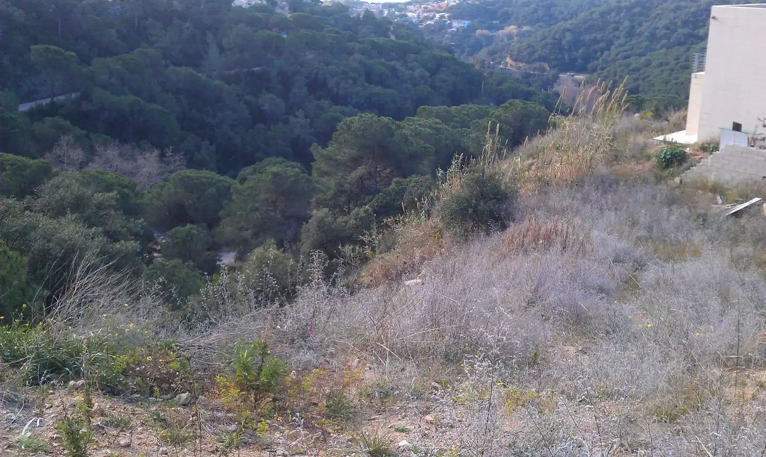 Terrenos y solares en venta en Serra Brava, imagen 10