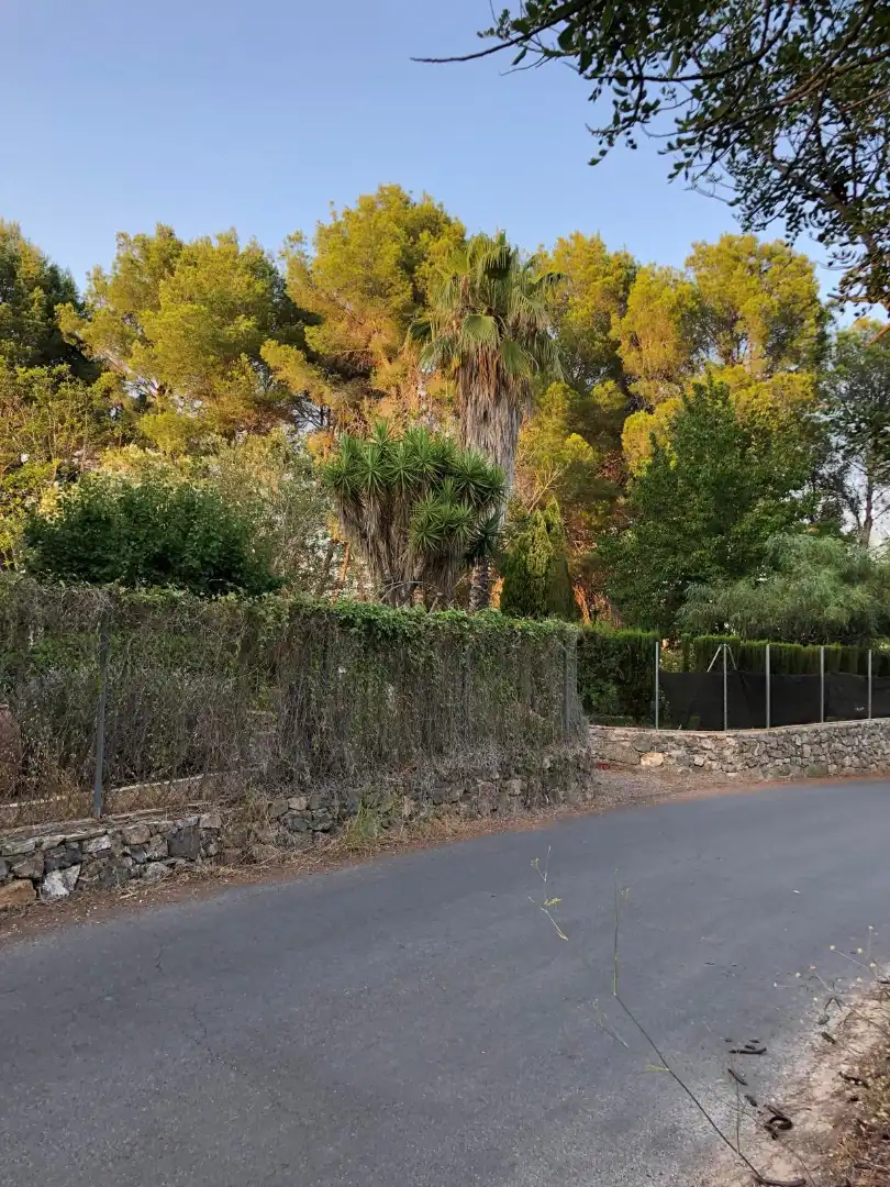 Vista exterior de Finca rústica en venda en Albalat dels Tarongers, Valencia