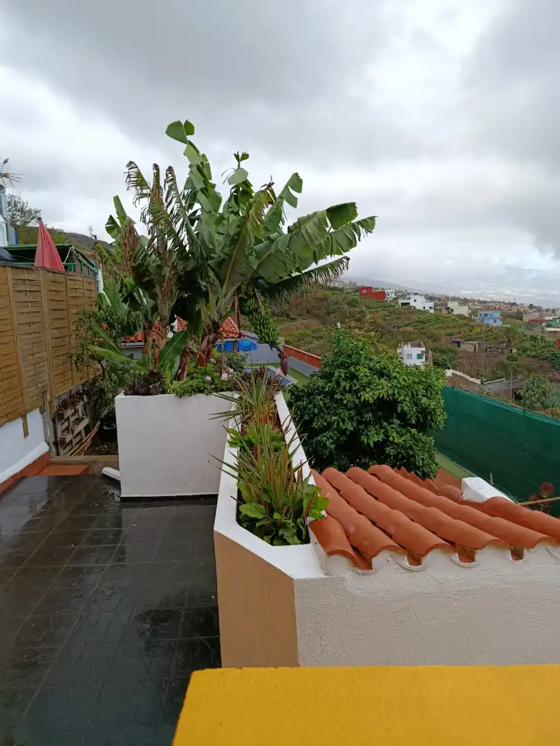 Terraza de Casa o chalet en venta en El Sauzal con Jardín privado, Terraza y Trastero