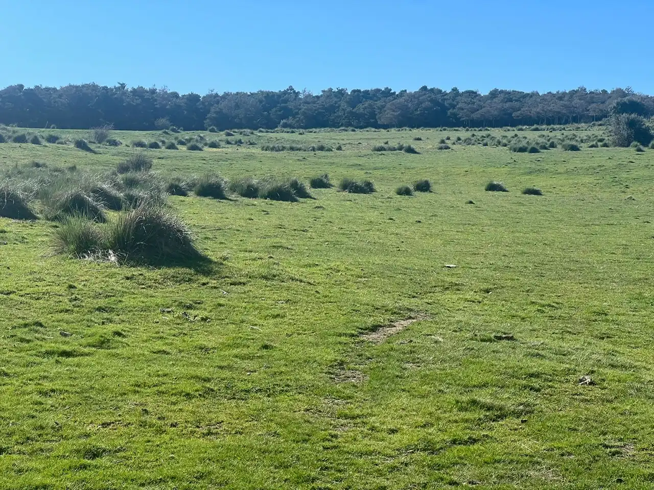 Terreni e lotti in vendita a Tornadizos de Ávila, imagen 4