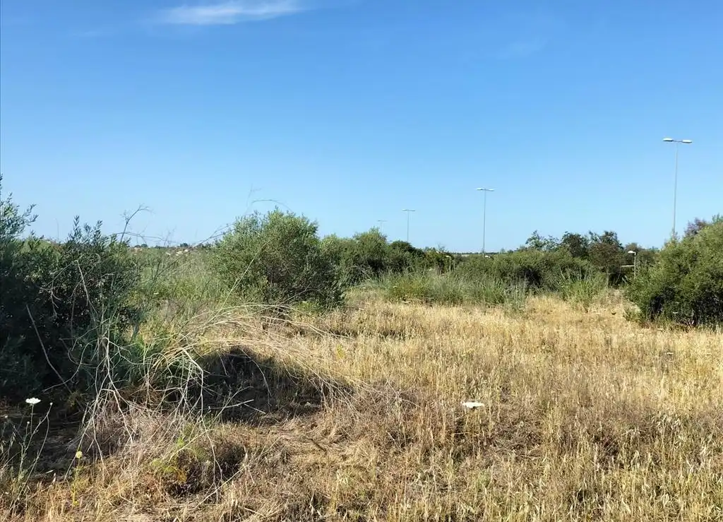 Terreni e lotti in vendita a Carretera de Palomares, imagen 32