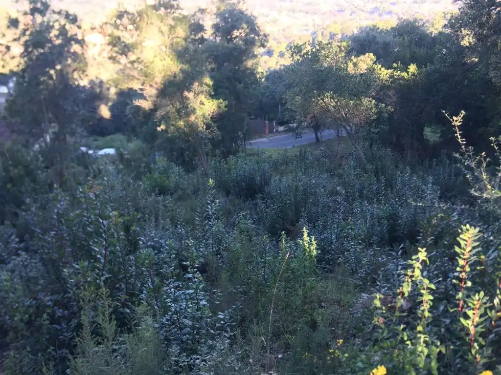 Oficina en venda en Maçanet de la Selva