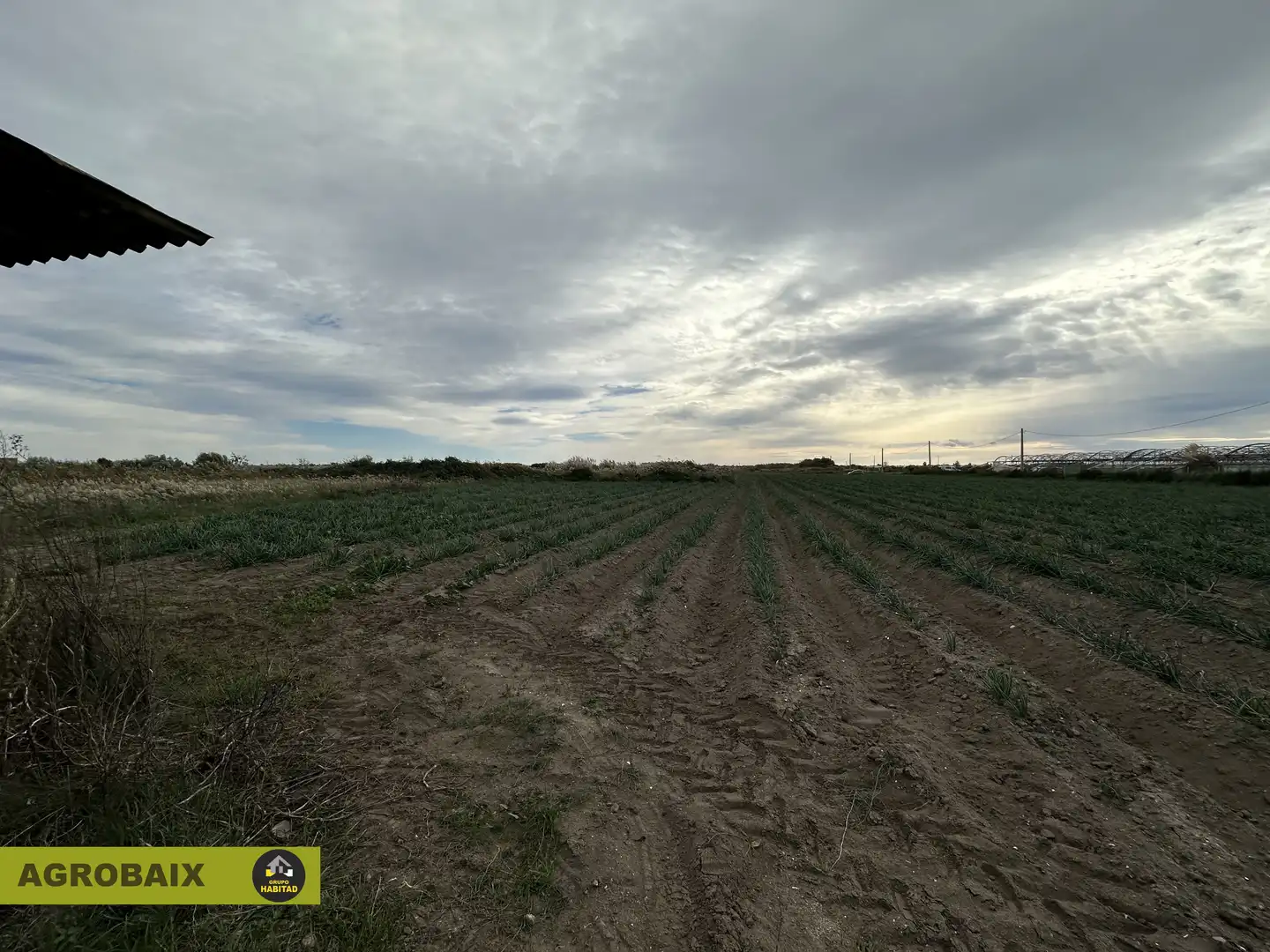 Rural land for sale in Torrent Ballester, imagen 20