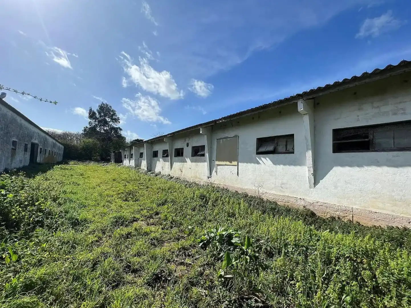 Industriegebäude zum Verkauf in Valdoviño, imagen 6