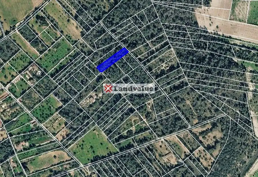 Rustikales Grundstück zum Verkauf in LA ROTA. POL 10 PARC 873, imagen 2