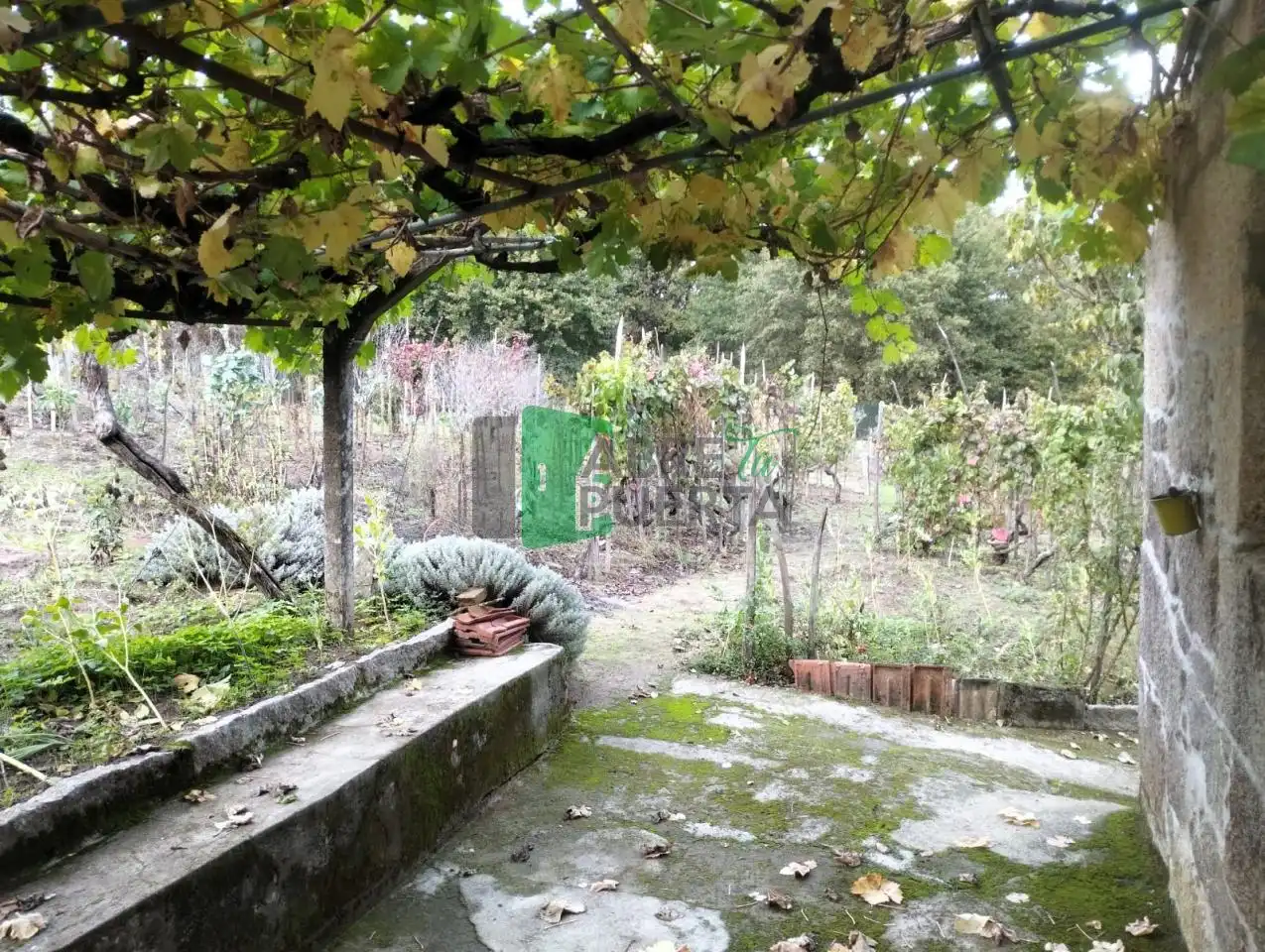 Jardín de Casa o chalet en venta en Punxín con Jardín privado, Amueblado y Balcón