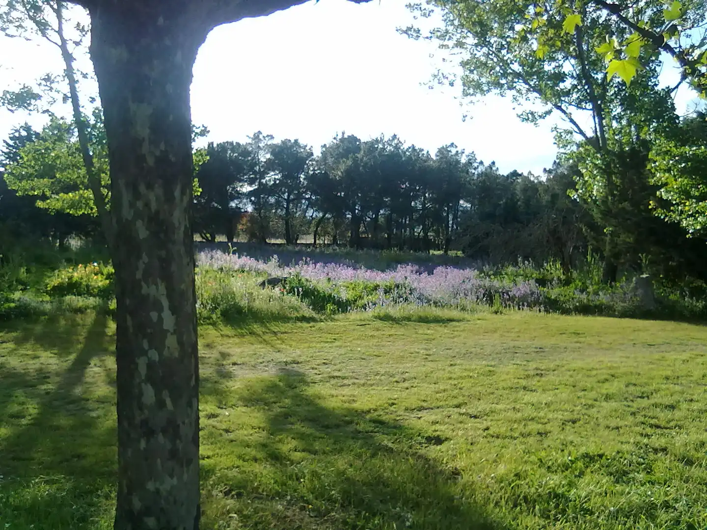 Jardí de Terreny industrial en venda en Collado Villalba