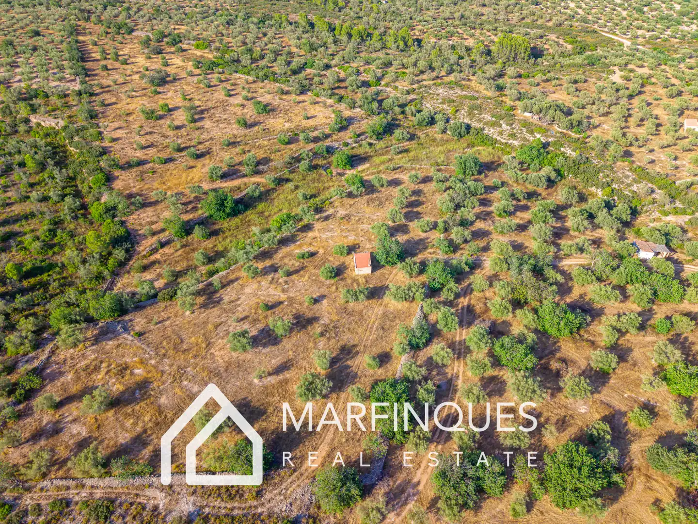 Terreno rustico in vendita a San Rafael del Río, imagen 9