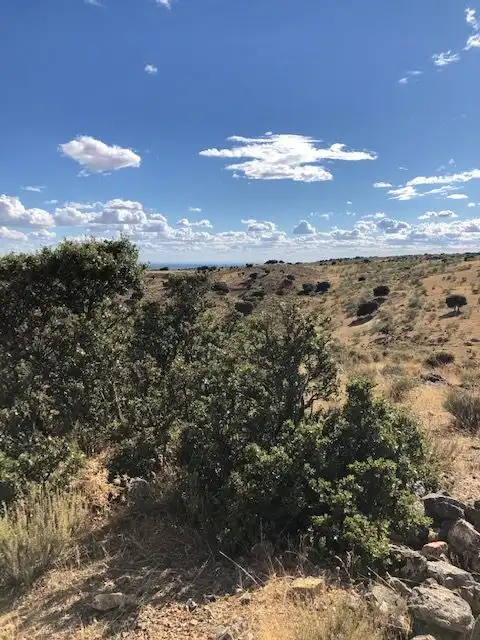 Terreny residencial en venda a Valdemorillo pueblo, imagen 3