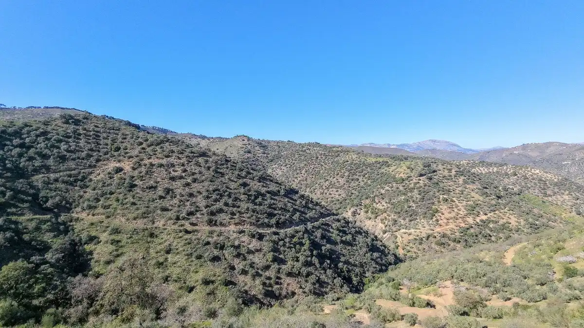 Terrenos y solares en venta en Este, imagen 10