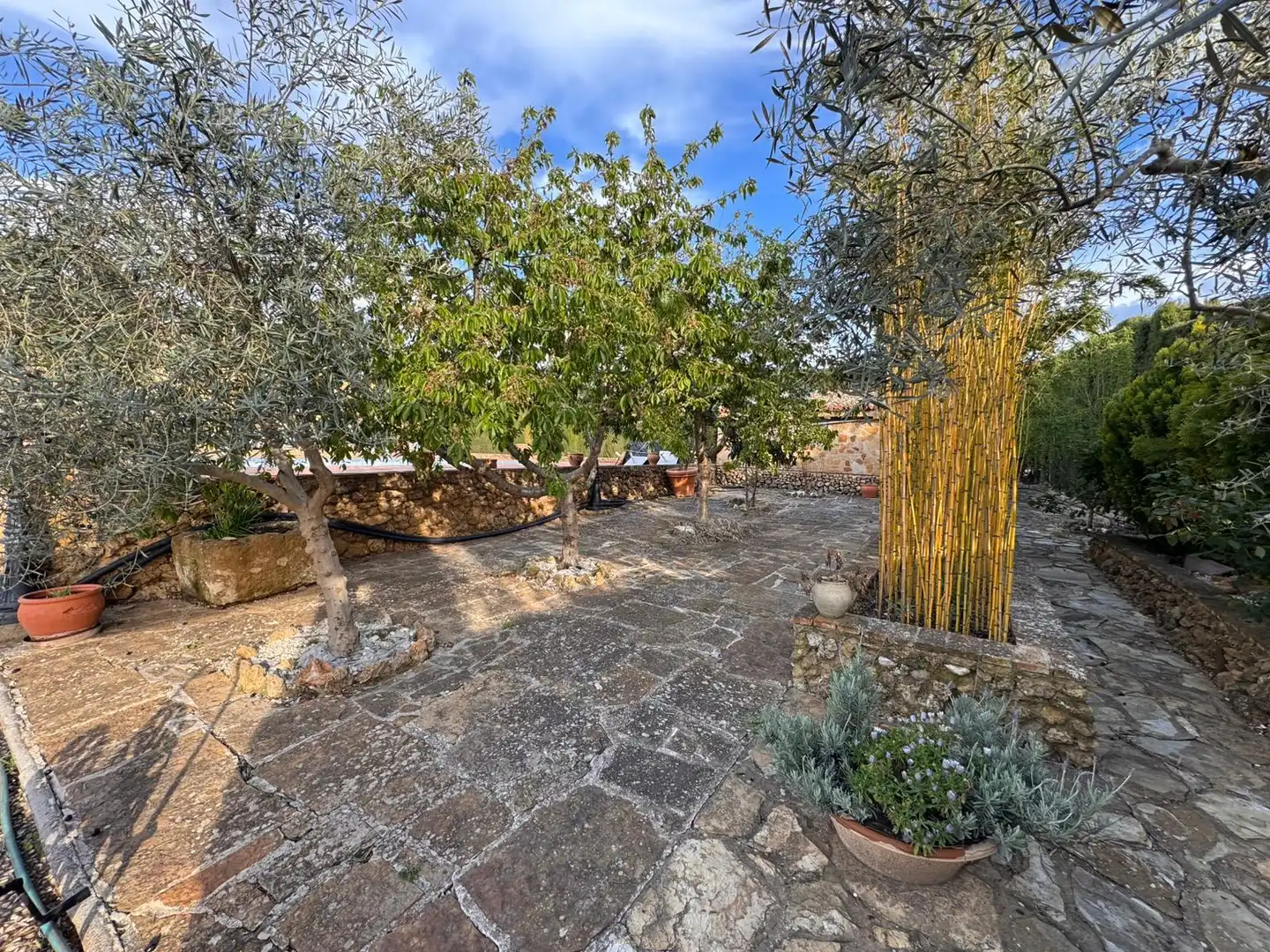 Terraza de Finca rústica en venta en Villanueva del Trabuco con Jardín privado, Trastero y Piscina