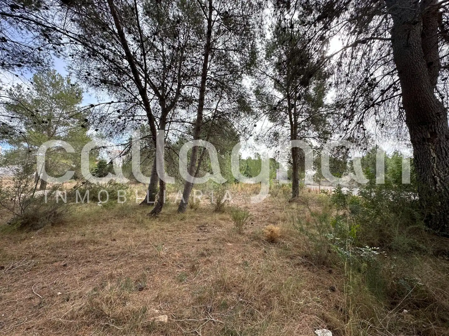 Terreny residencial en venda a Calle ESPARVER, imagen 8