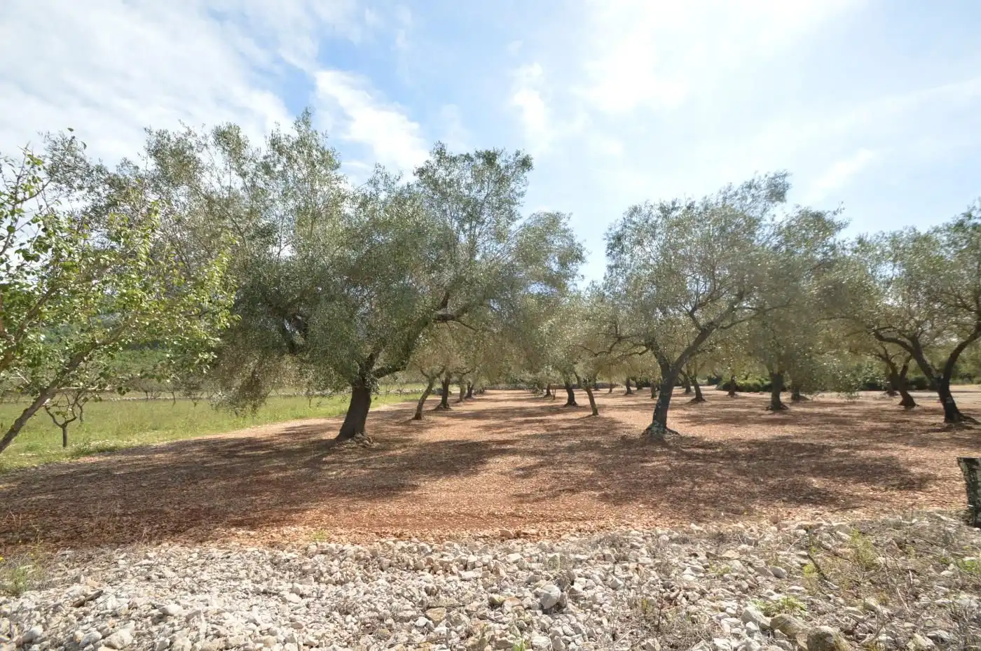 Finca rústica en venda en Sant Mateu amb Terrassa, Traster i Moblat
