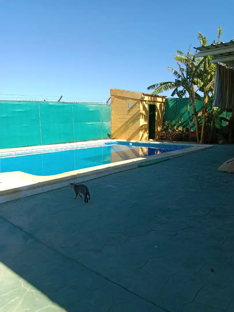 Casa en venta en Los Palacios y Villafranca, imagen 3