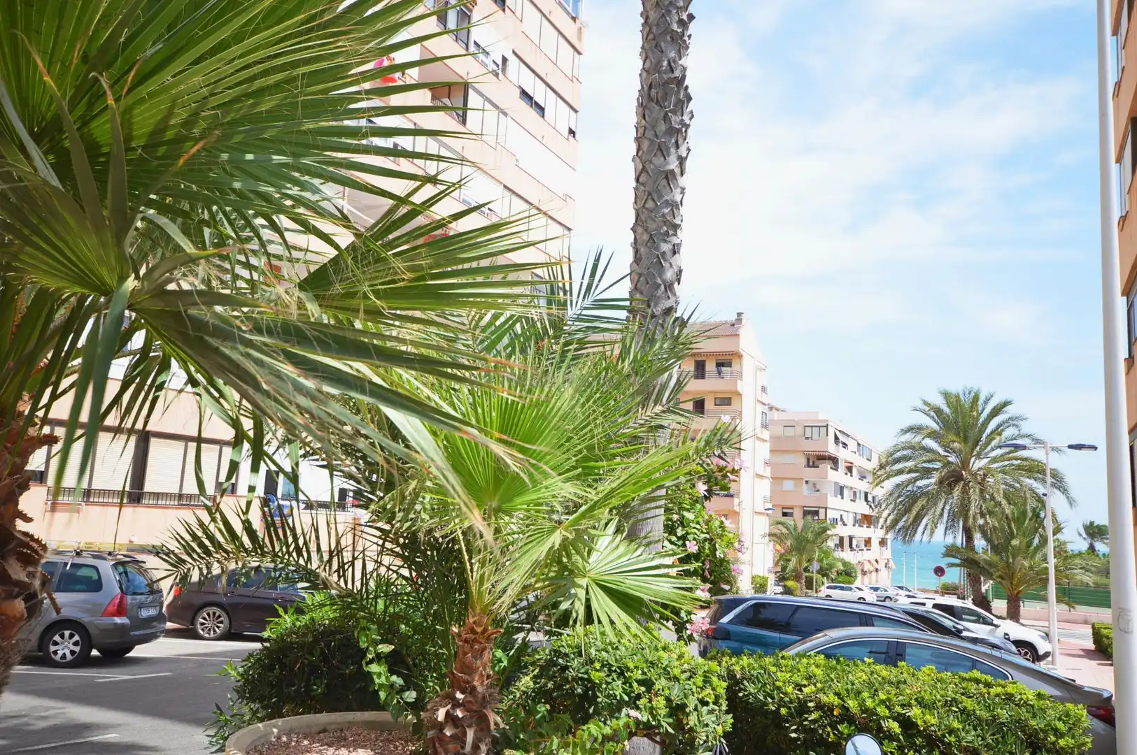 Vista exterior de Apartament en venda en Torrevieja amb Aire condicionat, Calefacció i Terrassa