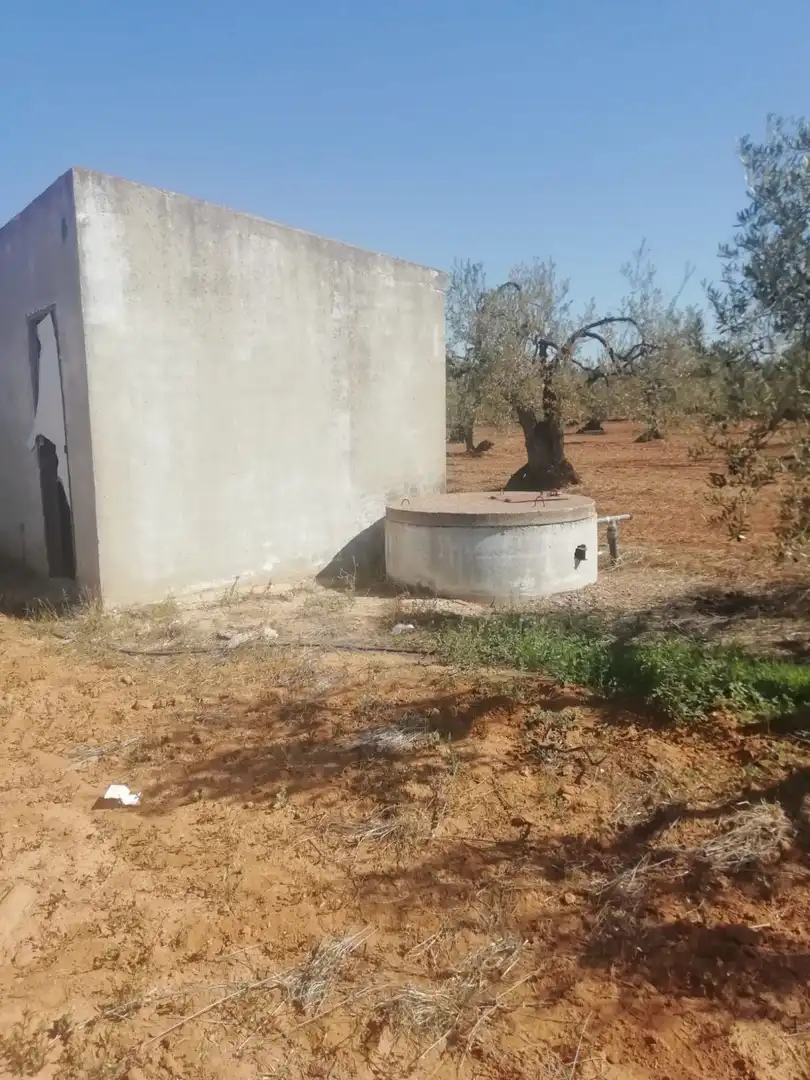 Casa rústica en venda a Sanlúcar la Mayor, imagen 11