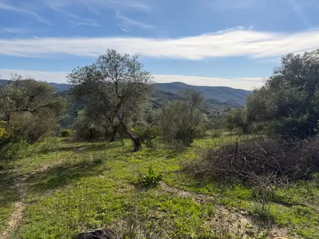 Land for sale in Ubrique