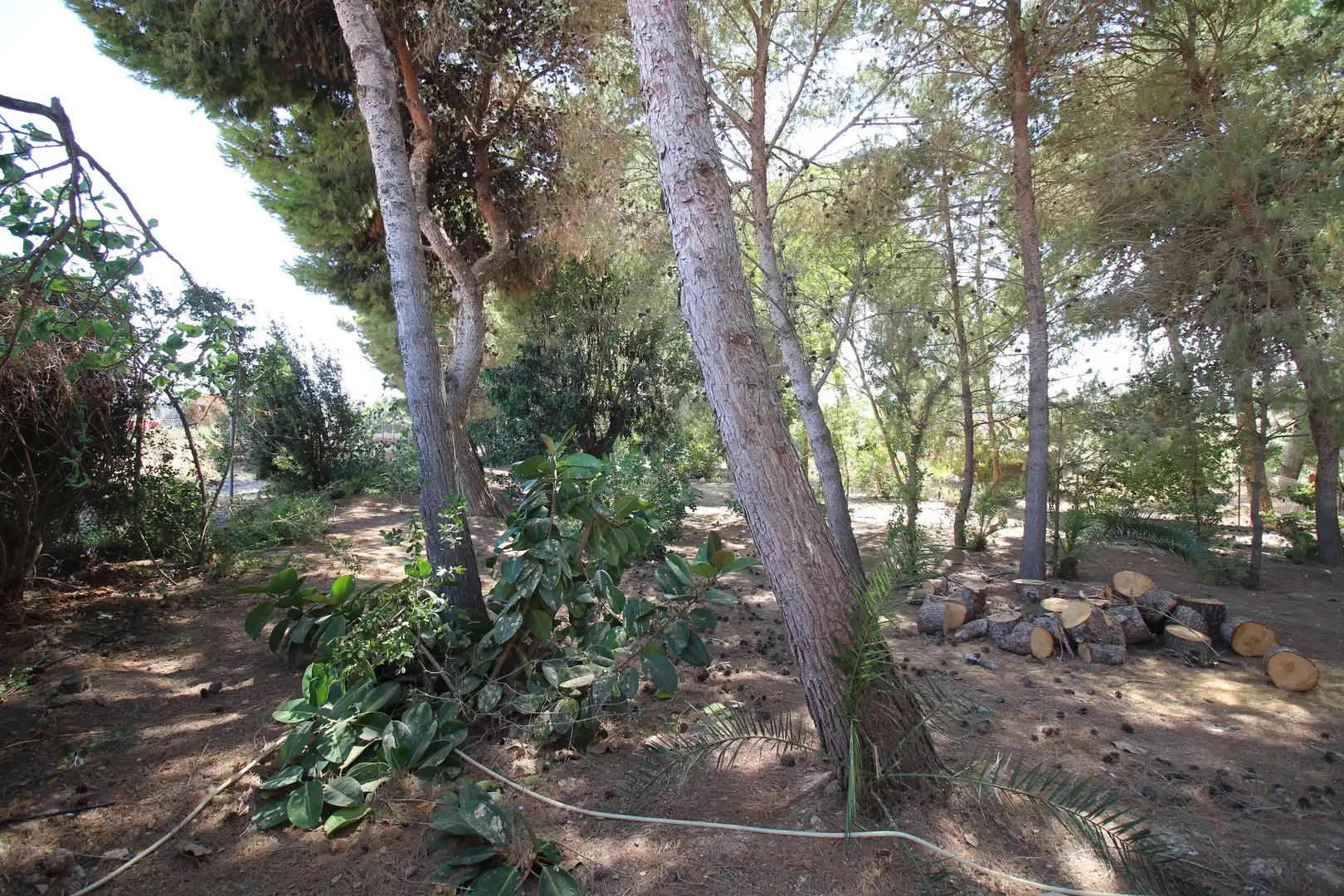 Jardín de Finca rústica en venta en Cartagena con Aire acondicionado, Jardín privado y Terraza