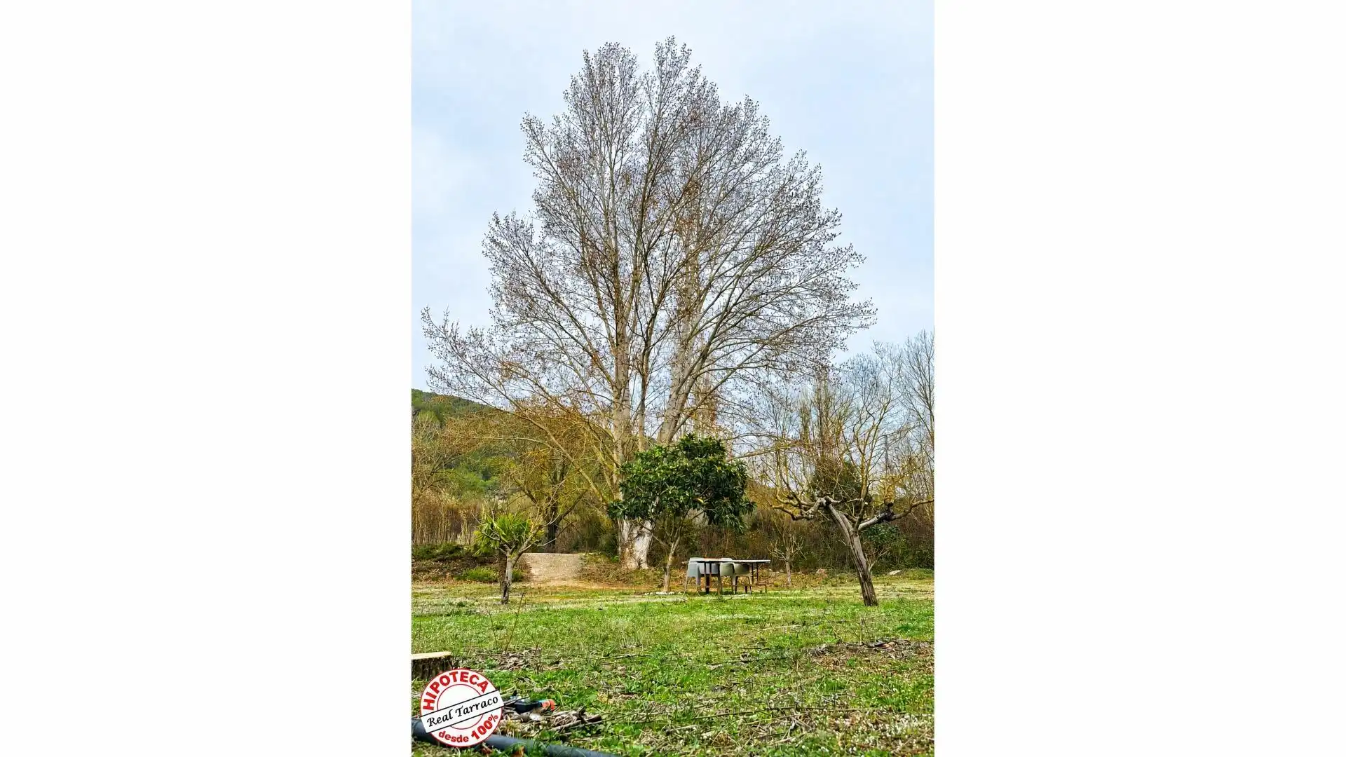 Terreno rústico en venta en Mont-ral, imagen 5