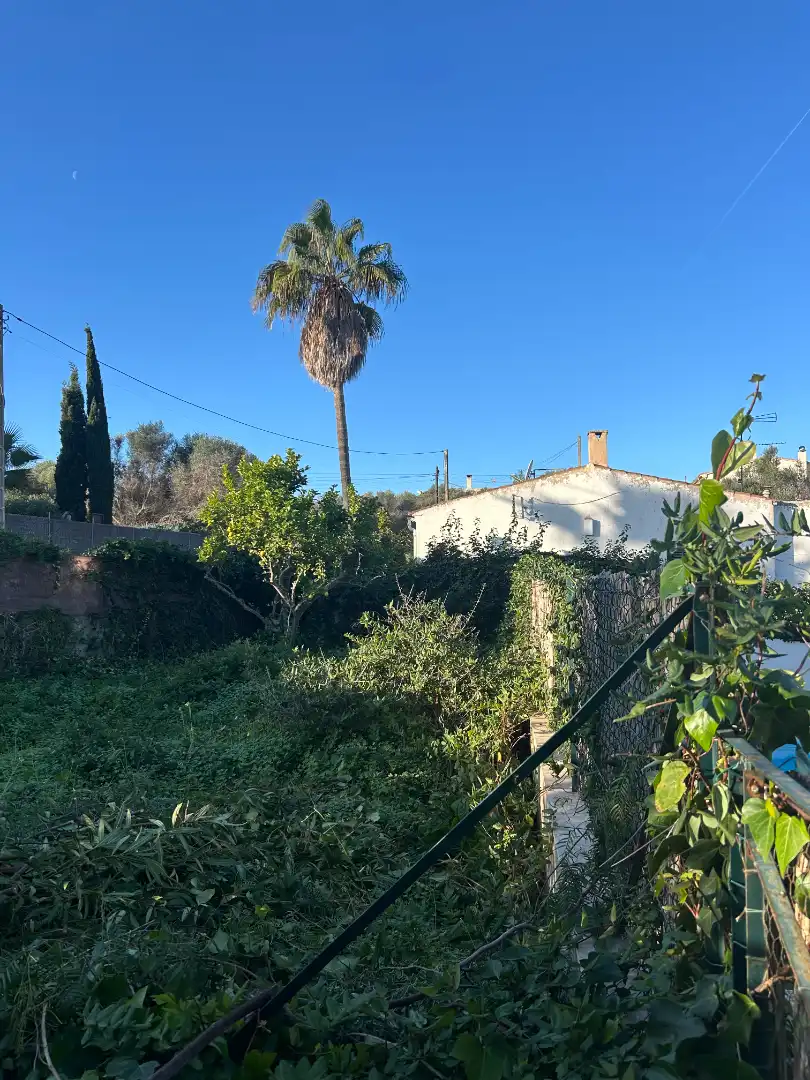 Detached house with pool for sale in Carrer d'es Teix, imagen 9