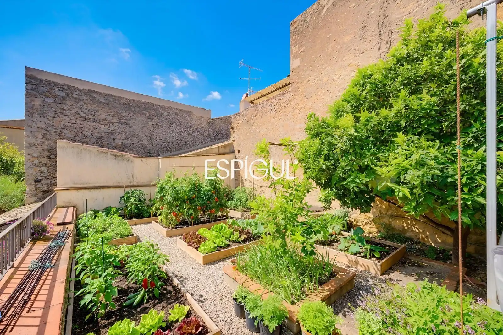 Jardín de Casa o chalet en venta en Torroella de Montgrí con Calefacción, Terraza y Piscina