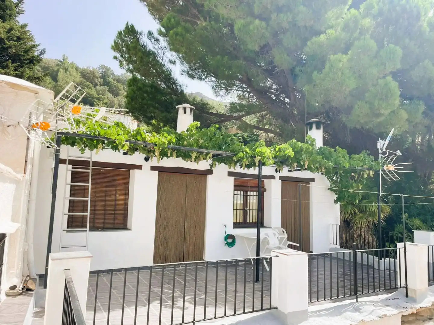 Vista exterior de Apartamento en venta en Capileira, Granada