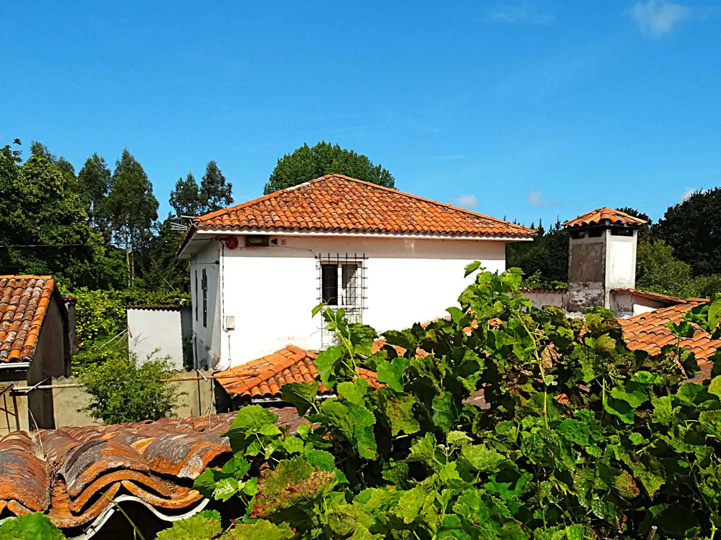 Vista exterior de Finca rústica en venda en Narón amb Calefacció, Jardí privat i Parquet
