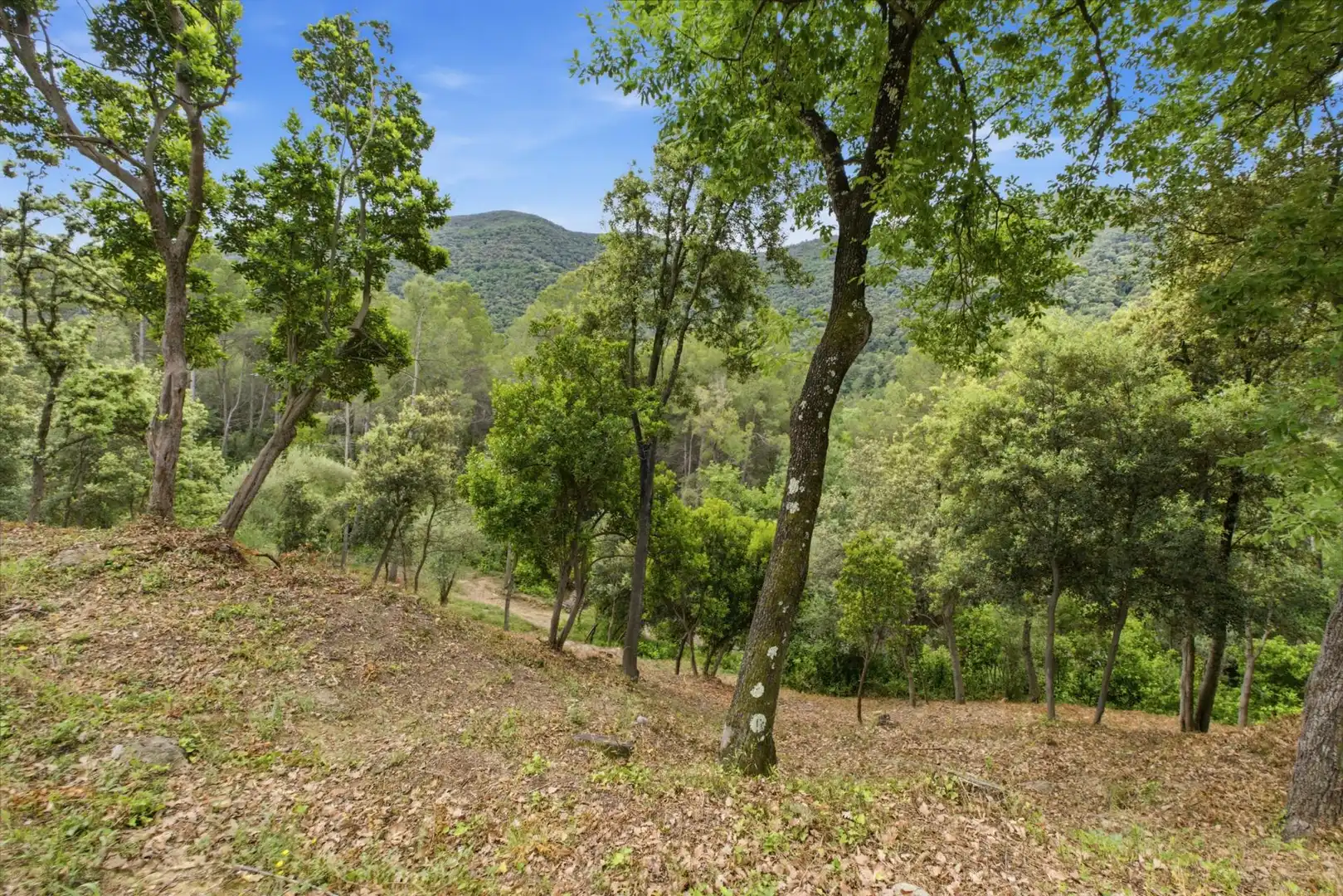 Residential land for sale in 120A,  Avinguda de Catalunya, imagen 10