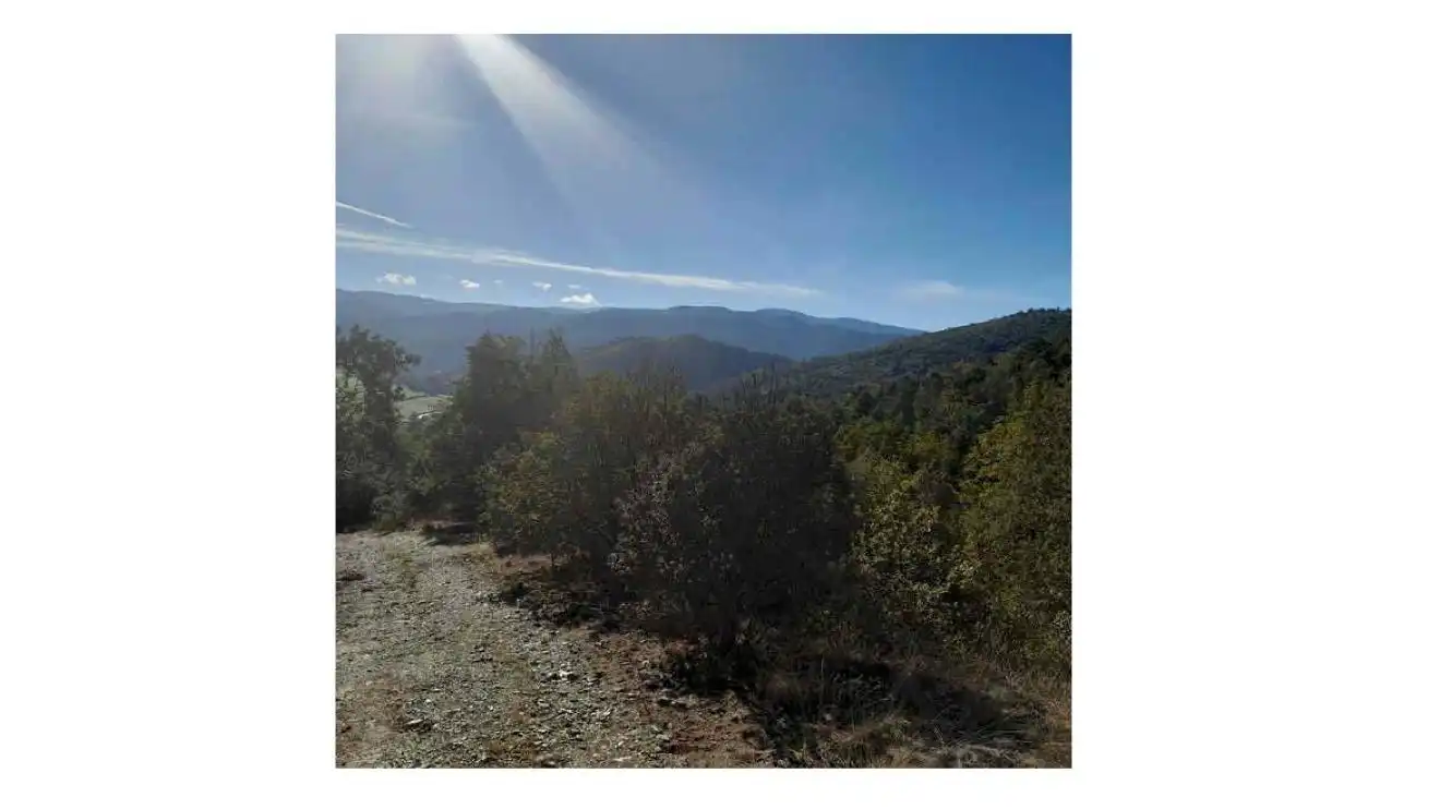 Terreni e lotti in vendita a Montferrer i Castellbò, imagen 2