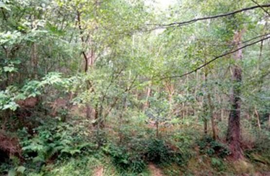 Residential zum Verkauf in Zamudio