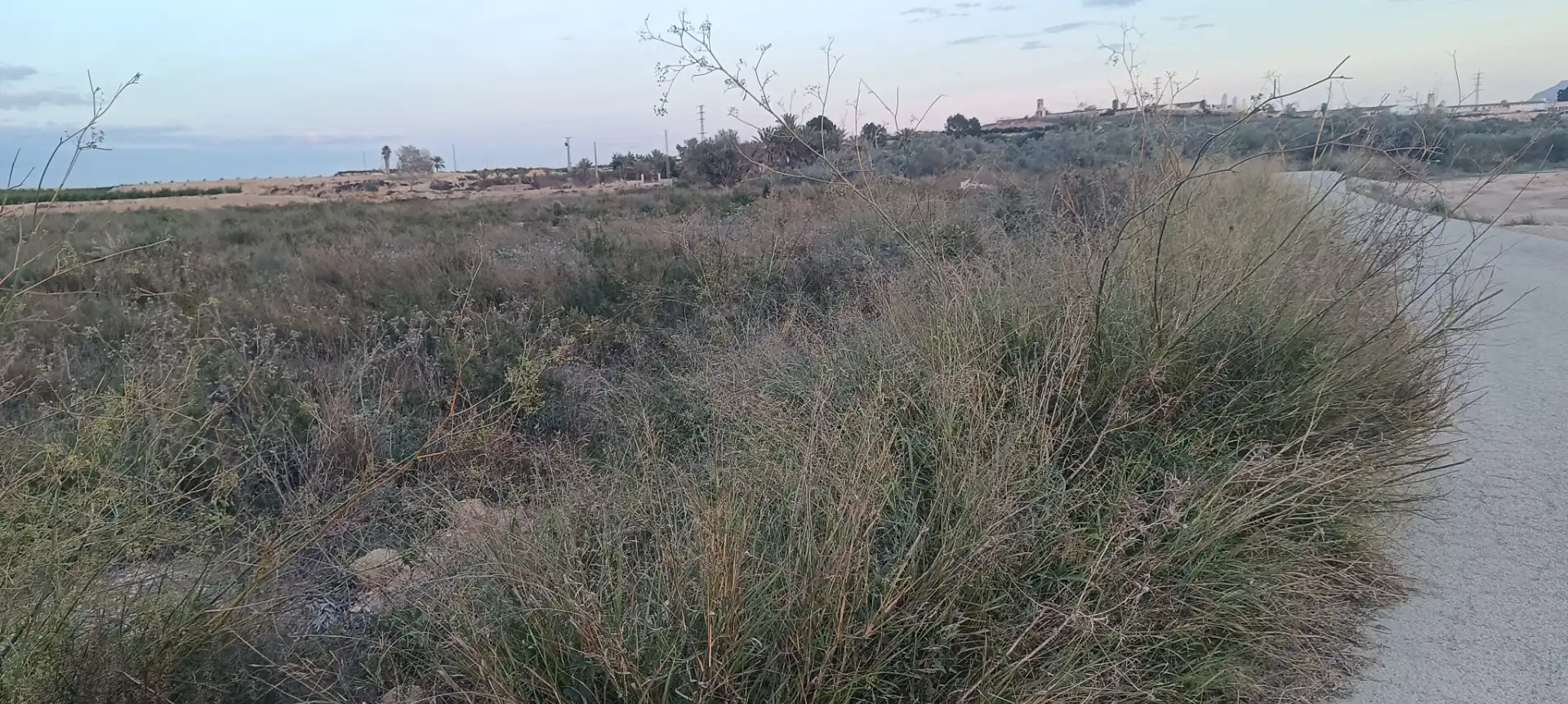 Finca rústica en venda en Elche / Elx amb Jardí privat