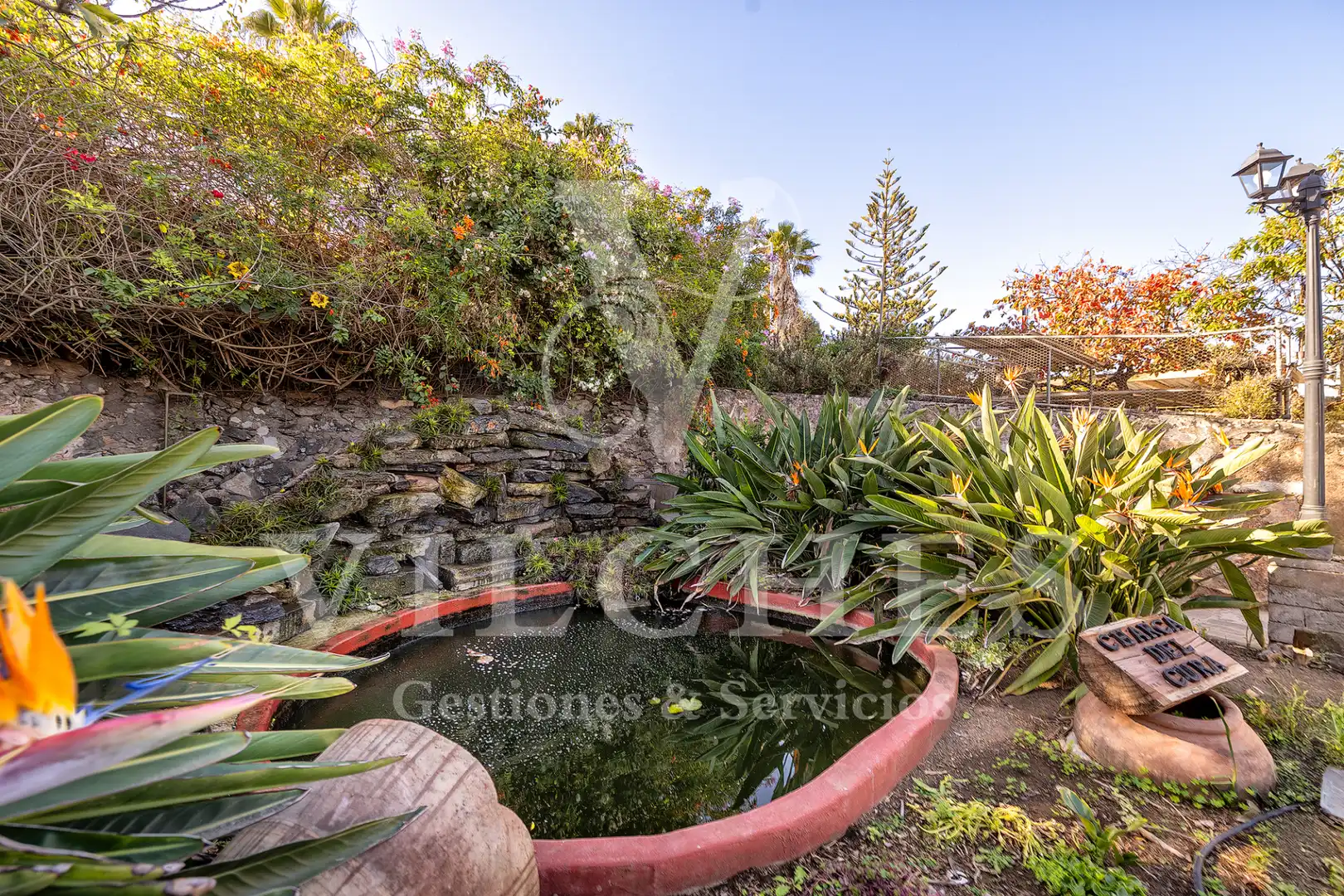 Jardí de Casa o xalet en venda en Santa Brígida amb Jardí privat, Terrassa i Traster