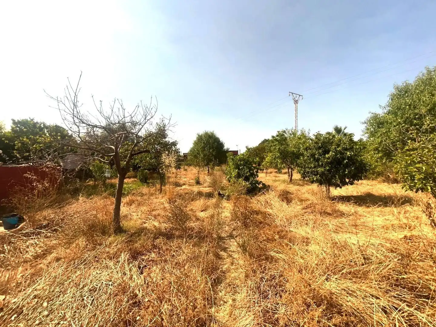 Finca rústica en venda en  Palma de Mallorca amb Jardí privat i Terrassa