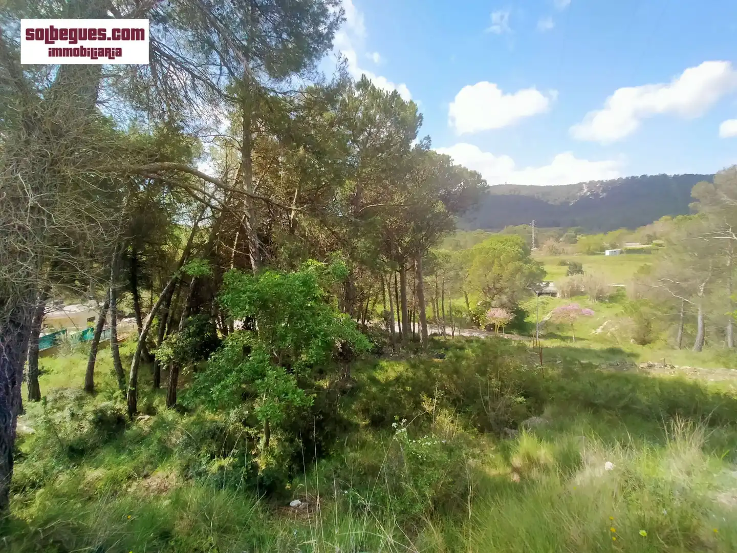 Grundstücke und Bauplätze zum Verkauf in Begues, imagen 8