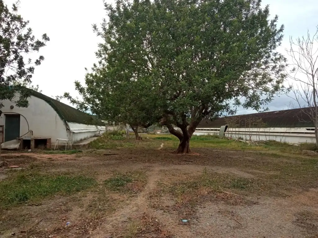 Residencial en venta en Llíria, Santa Bárbara