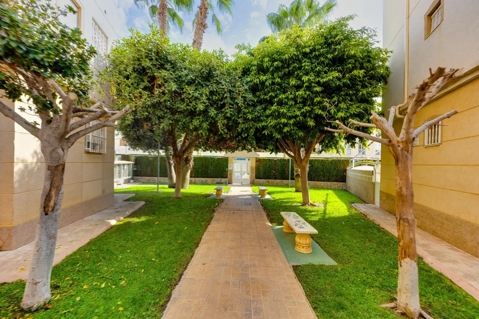 Mini appartamento con piscina in vendita a Avenida Avenida Diego Ramírez Pastor 277, imagen 35