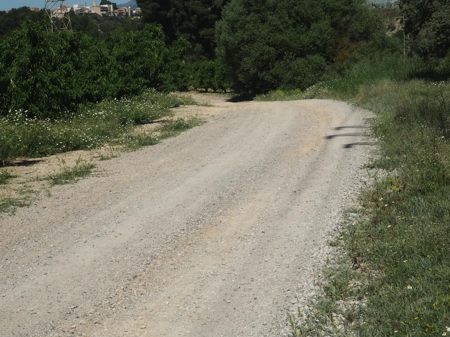 Terrain rustique à vendre à Avinguda Colònia 5, imagen 31