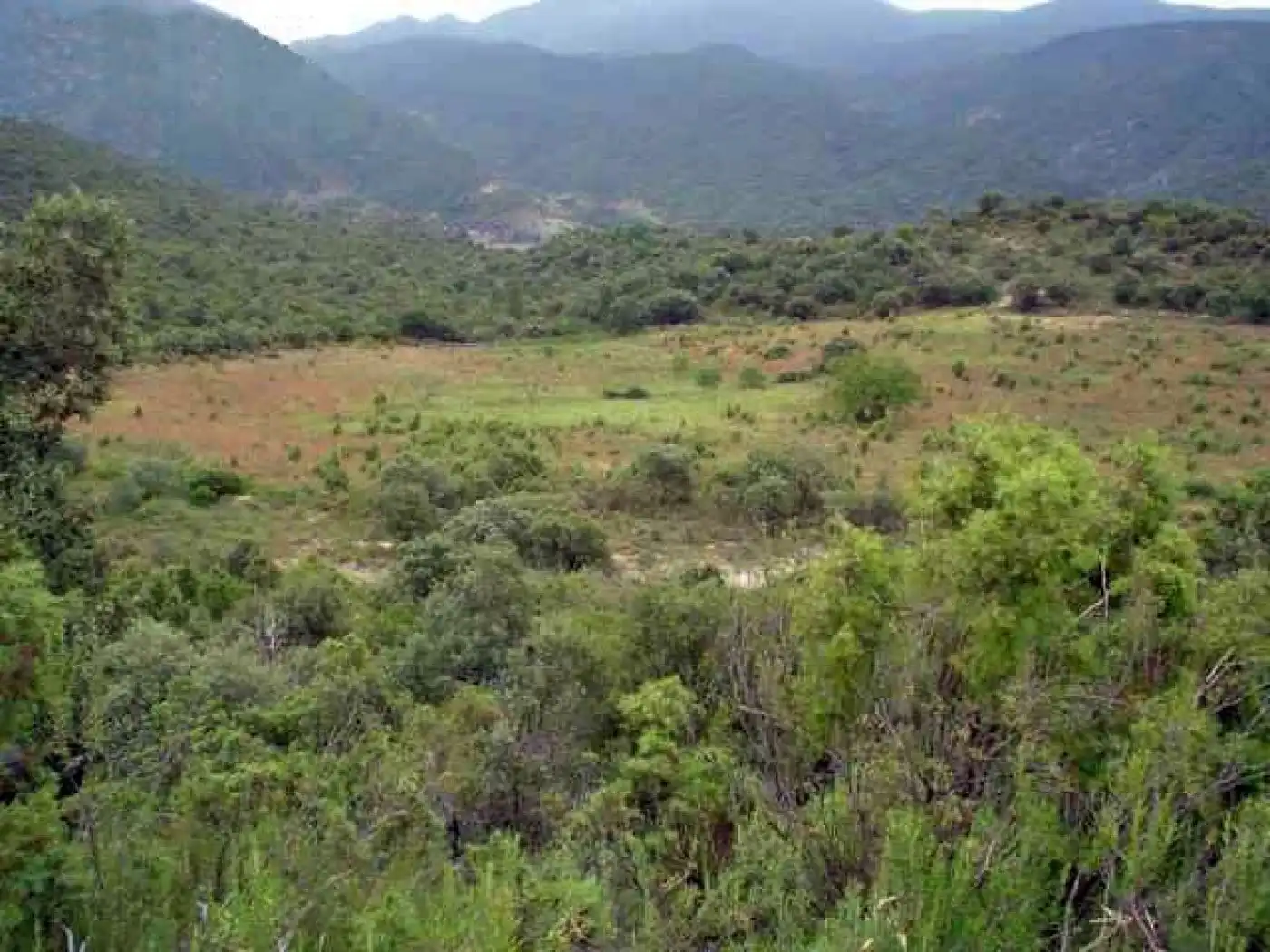 Terreno rustico in vendita a Àger, imagen 11