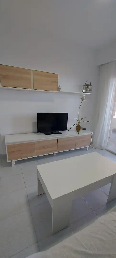Sala d'estar de Apartament de lloguer en Alicante / Alacant