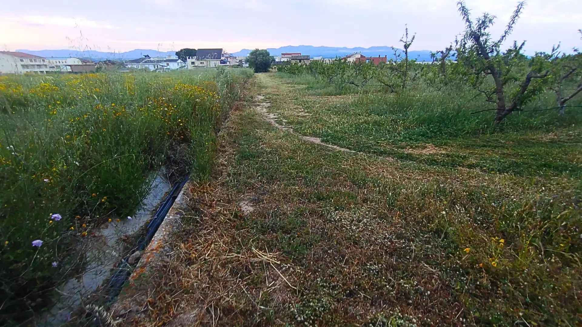 Terreno residenziale in vendita a Camino Nou, imagen 10