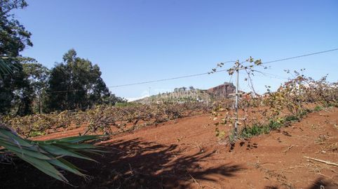 Photo 4 of Land for sale in Campo de Golf - Agua García - Juan Fernández, Tacoronte