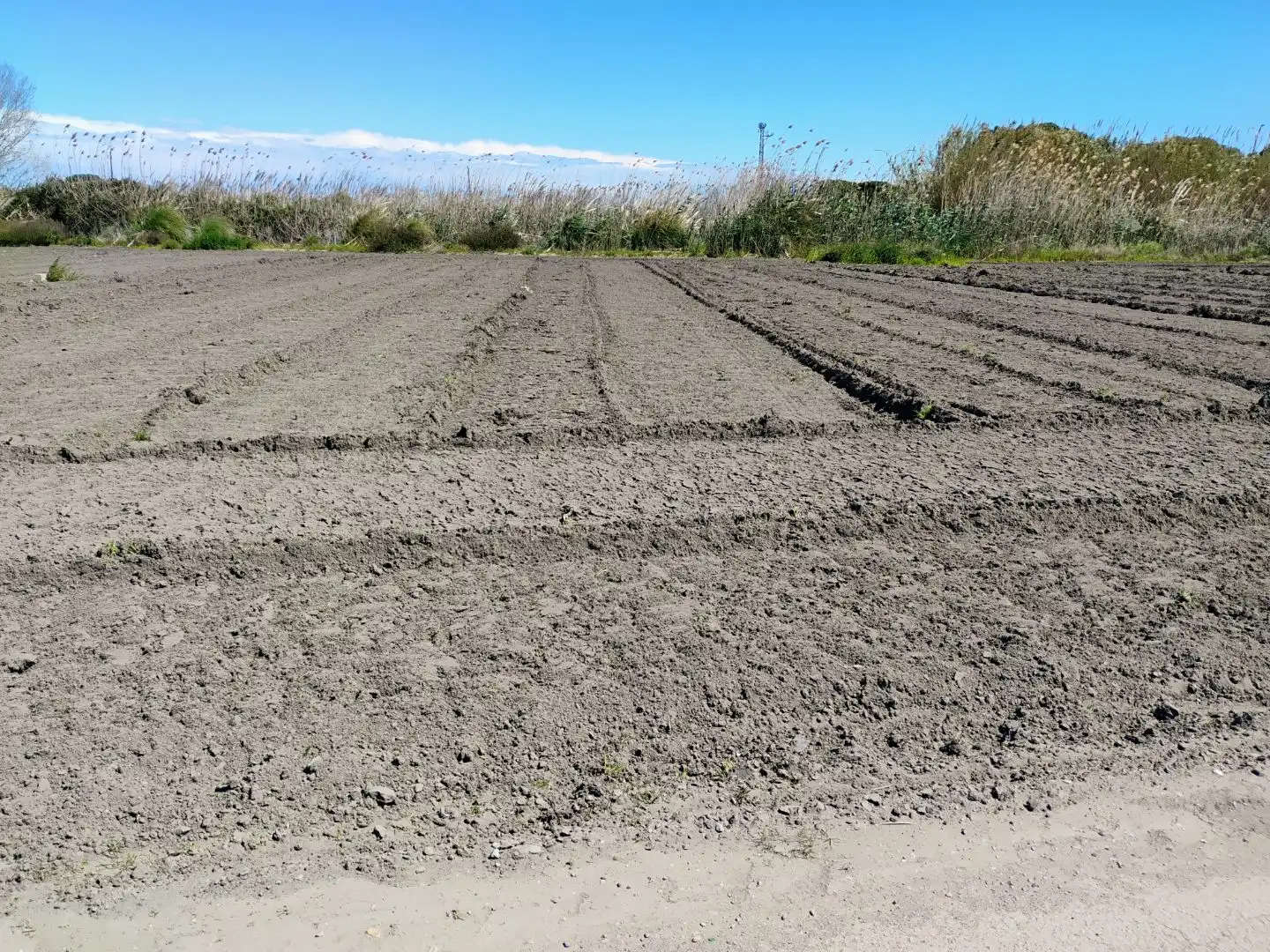 Terreny rústic en venda a Camí de les Parets a la Murtra 30, imagen 4