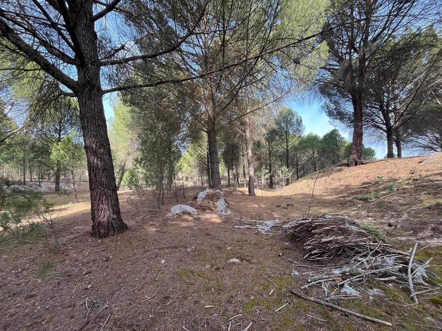 Terreno en venta en Tudela de Duero