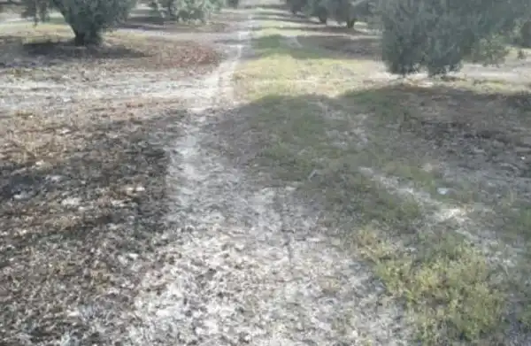 Terreni e lotti in vendita a Valdeastillas - Fuentezuelas, imagen 5
