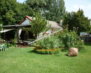 Jardí de Casa o xalet en venda en Viguera