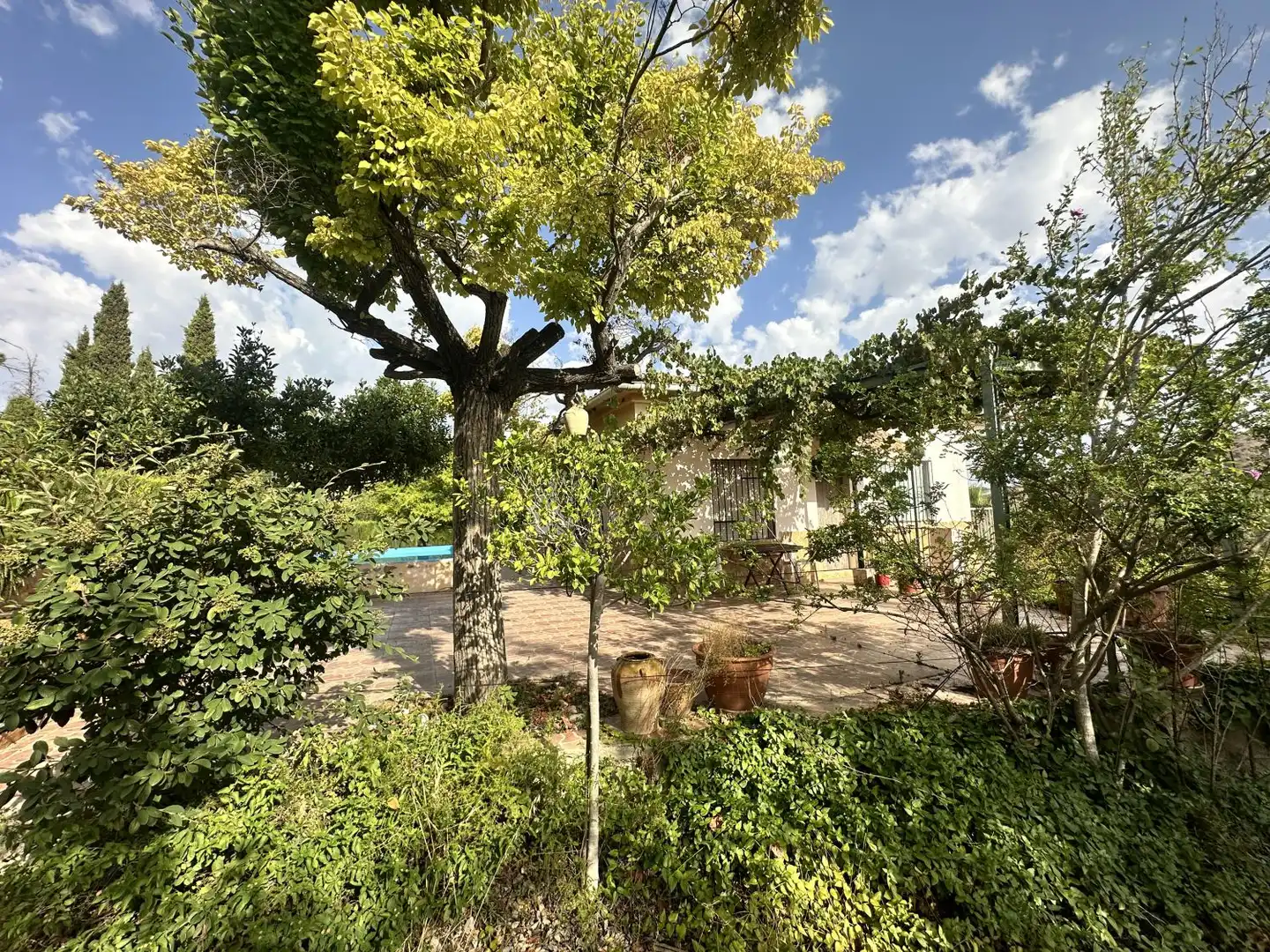 Chalet con terraza en venta en Torres Torres, imagen 66
