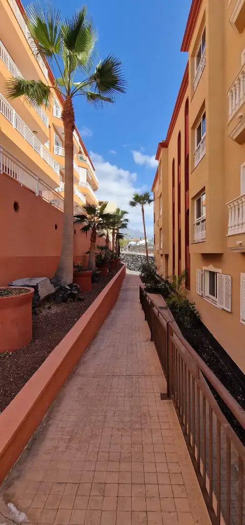 Vista exterior de Apartamento en venta en Adeje con Terraza, Amueblado y Horno