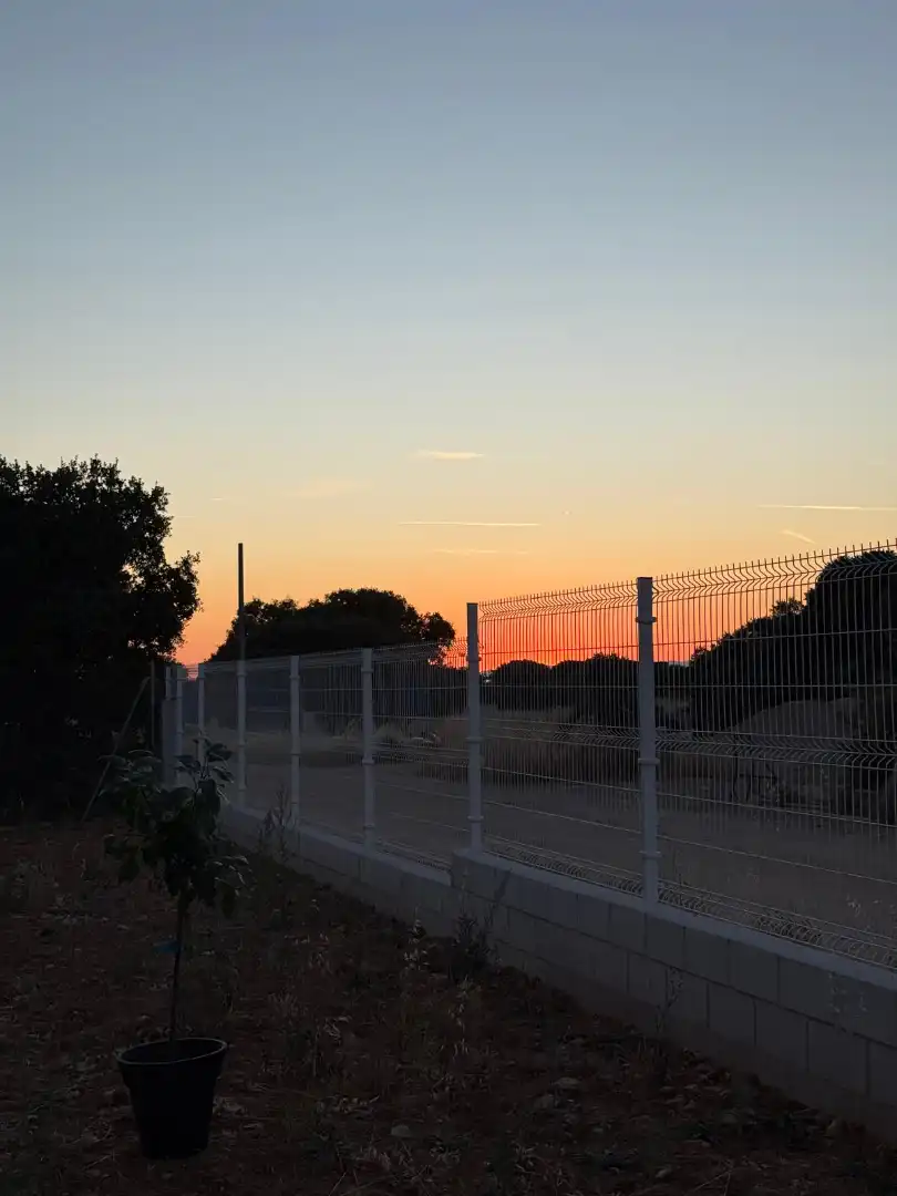 Vista exterior de Casa o xalet en venda en Pioz amb Calefacció, Jardí privat i Moblat
