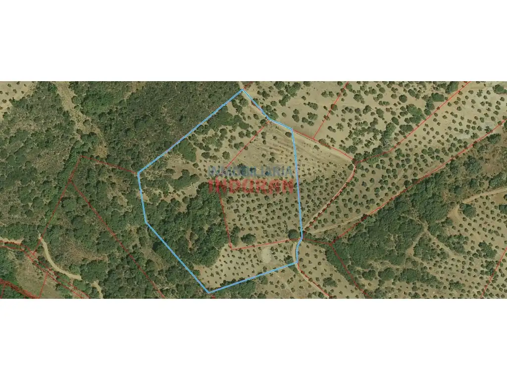 Country house for sale in Castañar de Ibor, imagen 5
