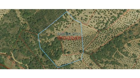 Foto 5 de Finca rústica en venta en Castañar de Ibor, Cáceres